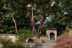 The beautiful compound of Changdeokgung Palace. Seoul, Korea.